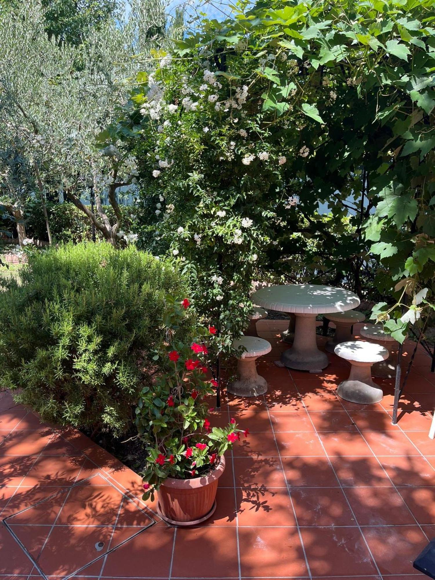 Buonarroti 19 Villa Pesaro Buitenkant foto